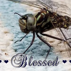 Meet your Posher, Denyse